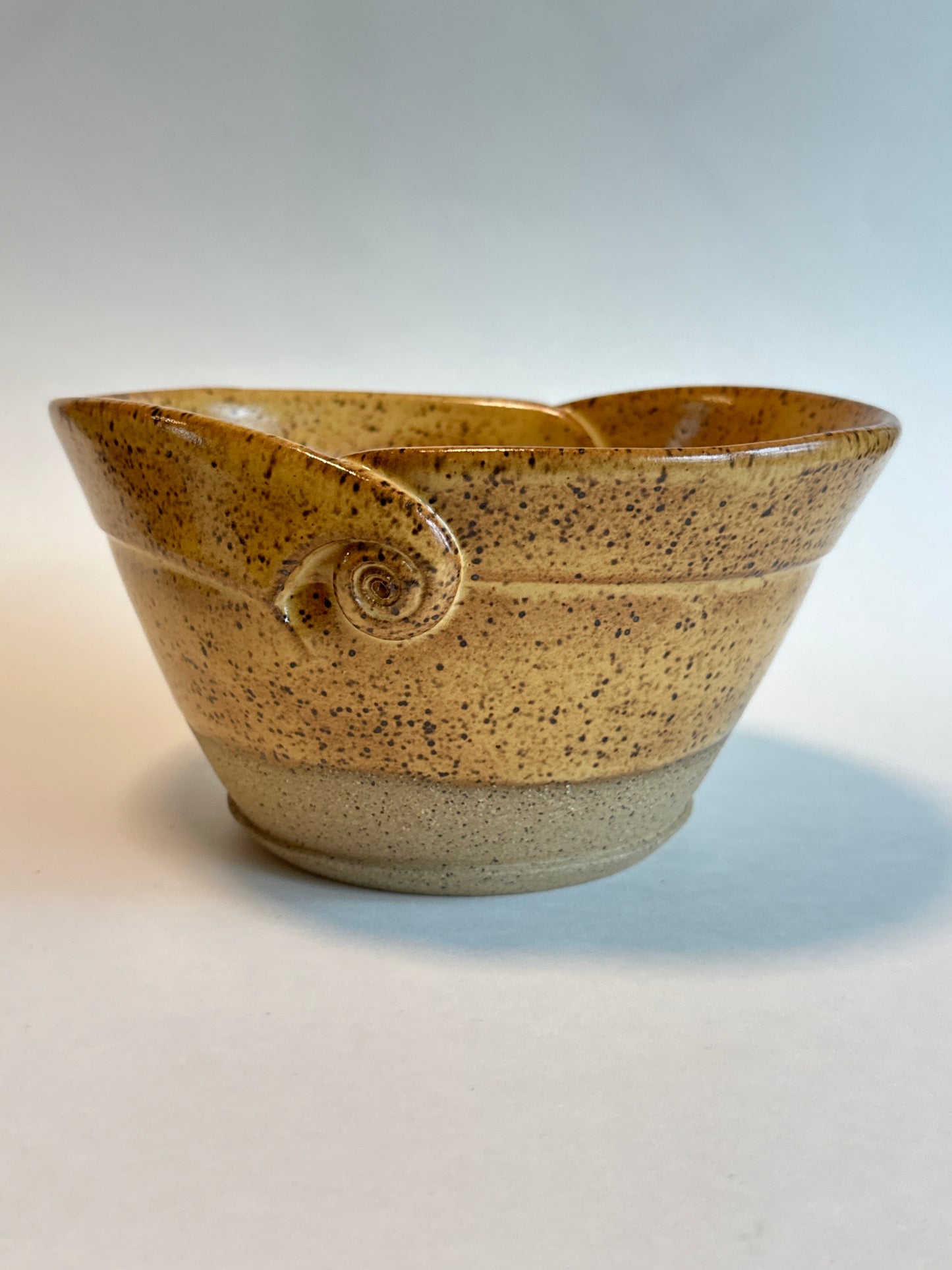 Ramen Bowl (Goldenrod4)