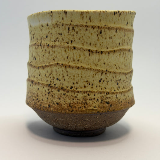 Yellow Salt Multi-Tumbler 2