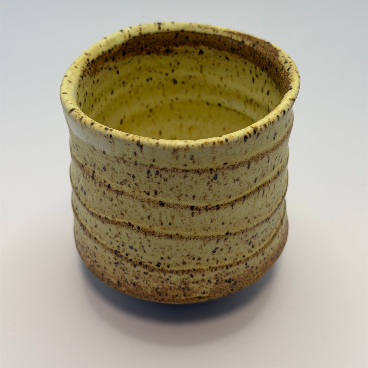 Yellow Salt Multi-Tumbler 2